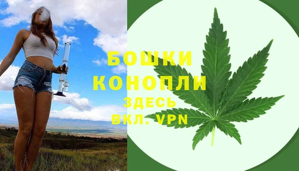 бошки Аркадак